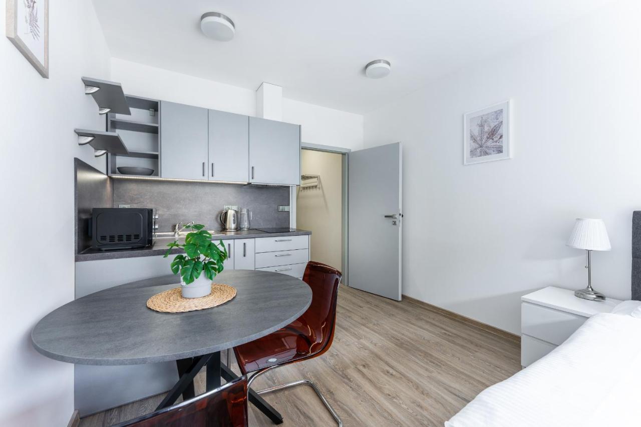 Apartman V Podebradech Podiebrady Zewnętrze zdjęcie