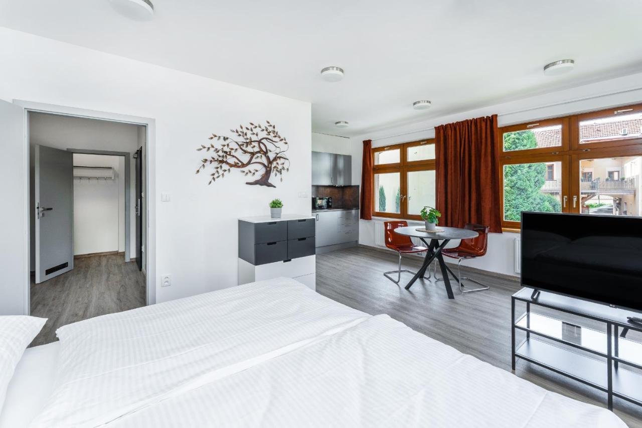 Apartman V Podebradech Podiebrady Zewnętrze zdjęcie