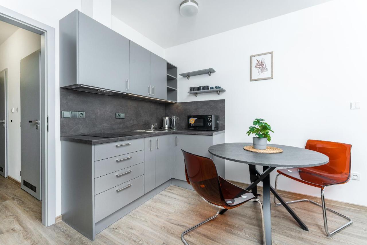 Apartman V Podebradech Podiebrady Zewnętrze zdjęcie
