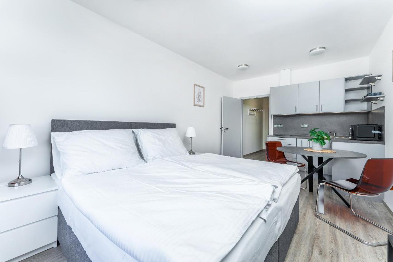 Apartman V Podebradech Podiebrady Zewnętrze zdjęcie