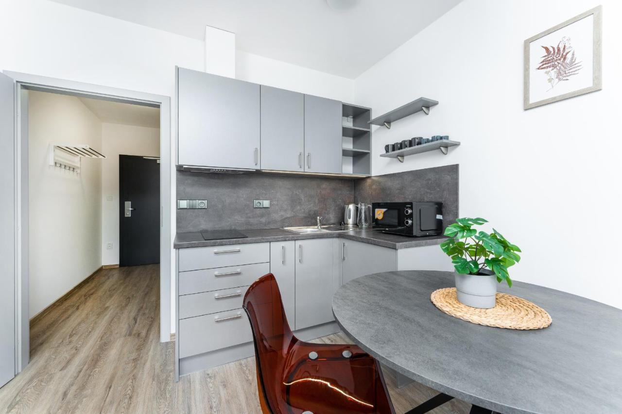 Apartman V Podebradech Podiebrady Zewnętrze zdjęcie