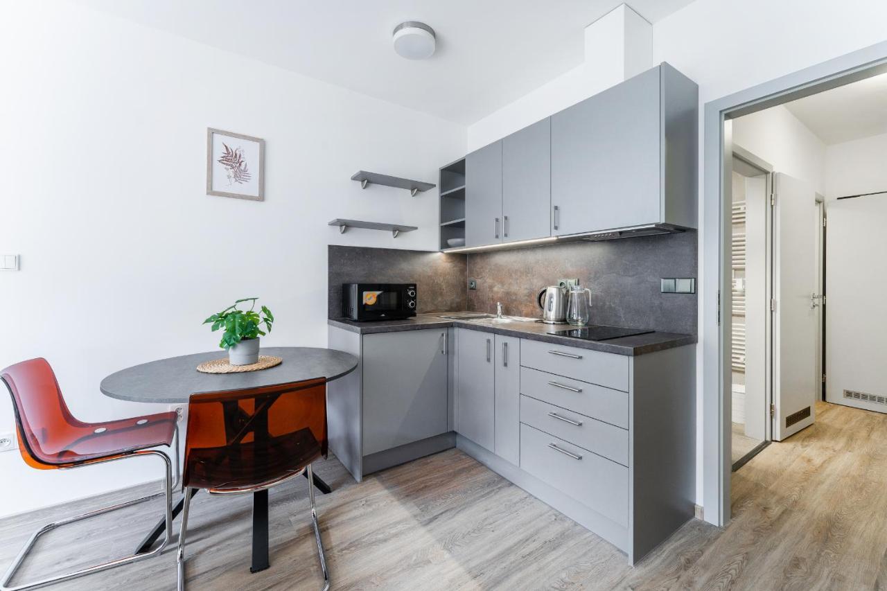 Apartman V Podebradech Podiebrady Zewnętrze zdjęcie