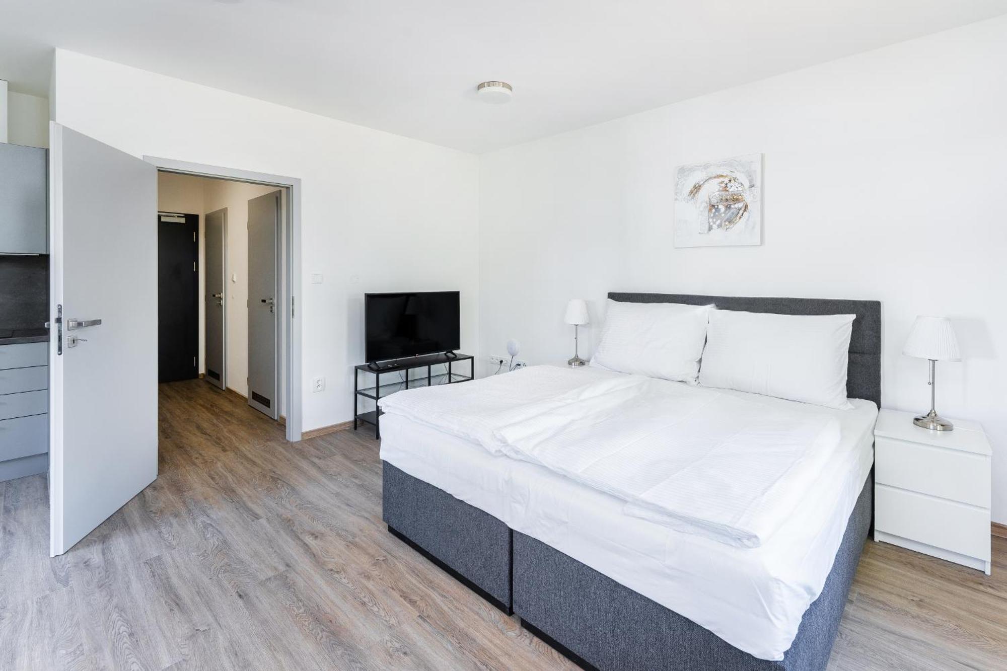 Apartman V Podebradech Podiebrady Zewnętrze zdjęcie