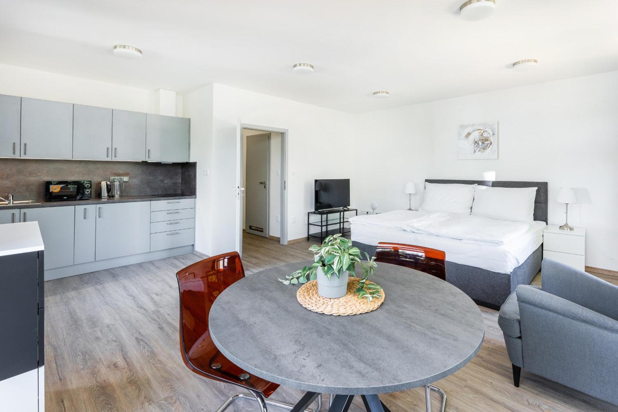 Apartman V Podebradech Podiebrady Zewnętrze zdjęcie