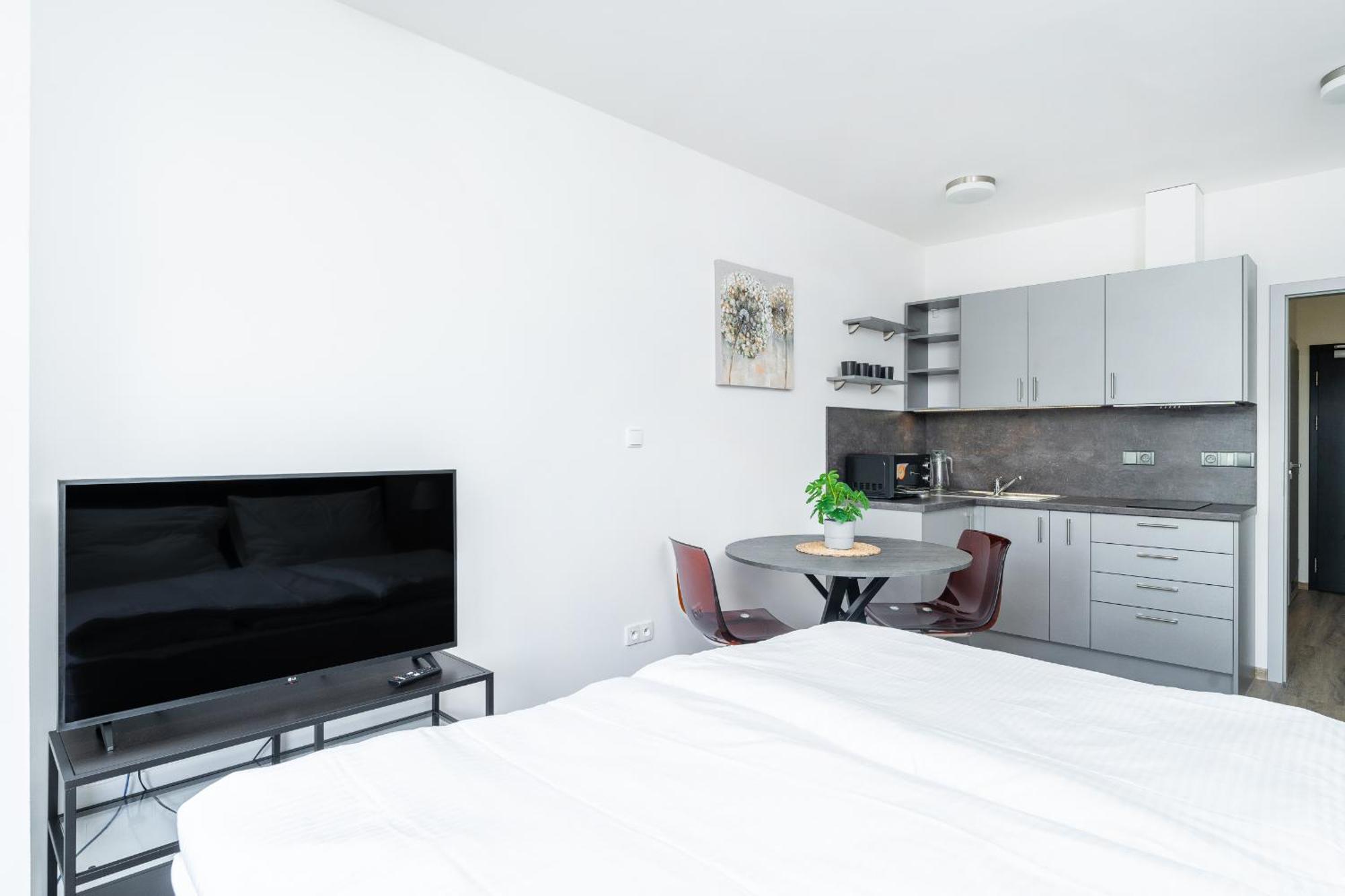 Apartman V Podebradech Podiebrady Zewnętrze zdjęcie